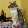Отзыв от Алина Агафонова